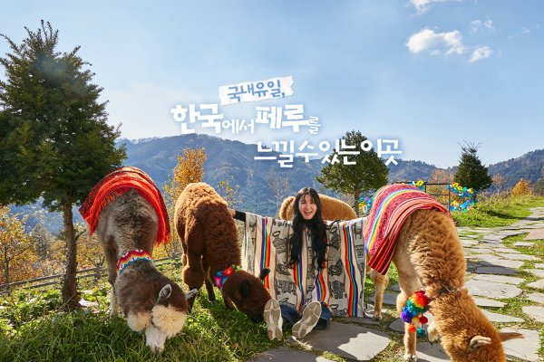 羊驼世界(AlpacaWorld) 门票