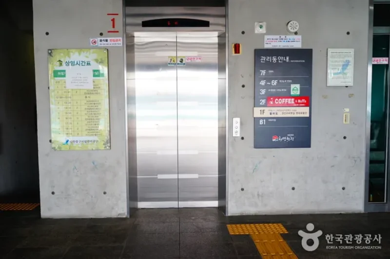 仁川 八尾岛游船之旅