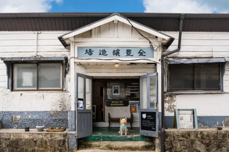 金丰酿造场