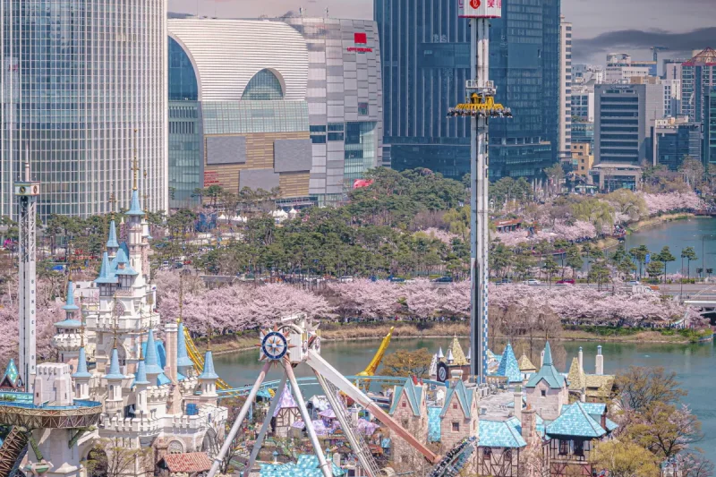【门票即时确认】Trend Wave Festival 2025 K-POP 演唱会韩国旅游套餐