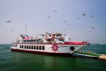 仁川月尾岛表演游船门票 – 现场演出 & 海鸥喂食体验