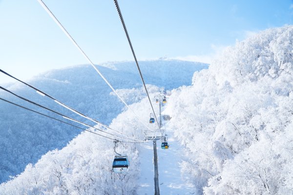 母娜龙平滑雪度假村(Mona Yongpyong Ski Resort)