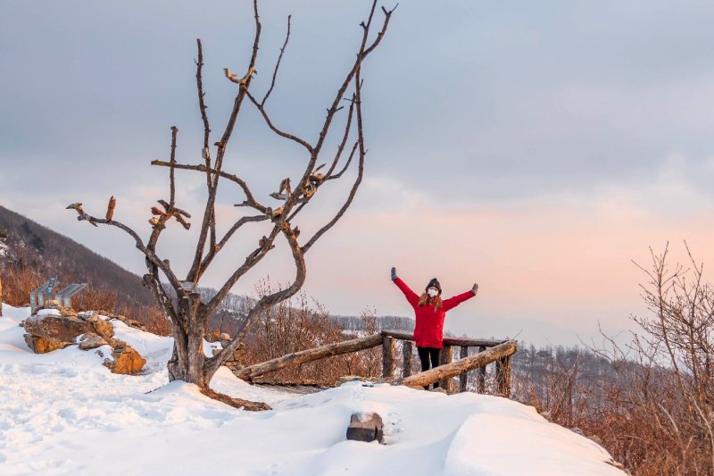 High1度假村滑雪场（High1 Resort Ski Resort）