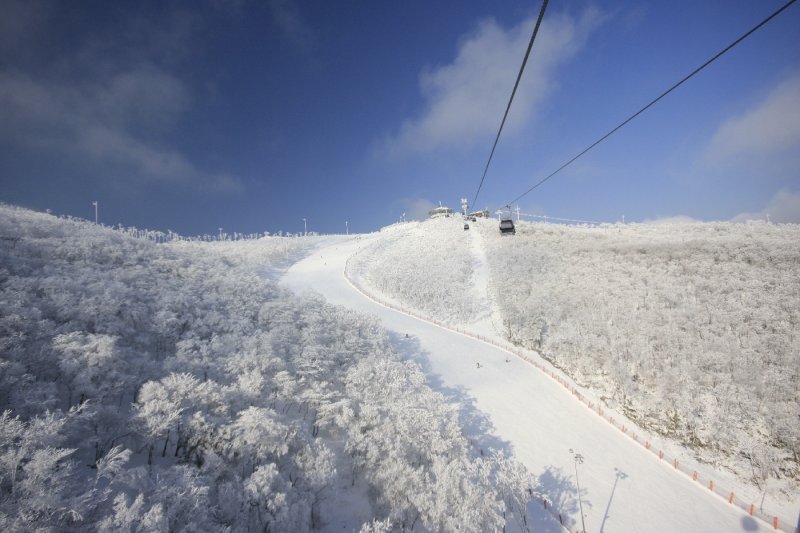 High1度假村滑雪场（High1 Resort Ski Resort）